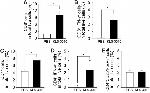 CD4 Antibody in Flow Cytometry (Flow)