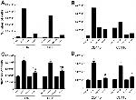 CD4 Antibody in Flow Cytometry (Flow)