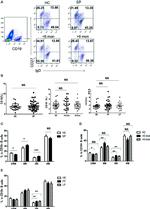 CD27 Antibody in Flow Cytometry (Flow)