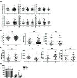 CD185 (CXCR5) Antibody in Flow Cytometry (Flow)