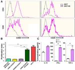 CD8a Antibody in Flow Cytometry (Flow)