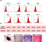 CD105 (Endoglin) Antibody in Flow Cytometry (Flow)