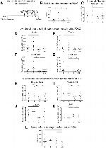 CD11c Antibody in Flow Cytometry (Flow)