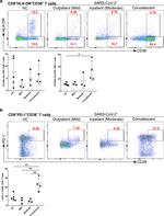 CD279 (PD-1) Antibody in Flow Cytometry (Flow)