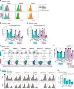 CD25 Antibody in Flow Cytometry (Flow)