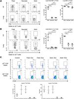 CD27 Antibody in Flow Cytometry (Flow)