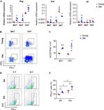 IFN gamma Antibody in Flow Cytometry (Flow)