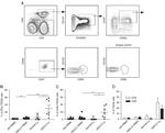 CD28 Antibody in Flow Cytometry (Flow)