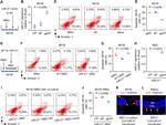 Ly-6A/E (Sca-1) Antibody in Flow Cytometry (Flow)