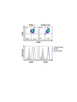 CD38 Antibody in Flow Cytometry (Flow)