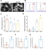 CD44 Antibody in Flow Cytometry (Flow)