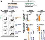 IFN gamma Antibody in Flow Cytometry (Flow)