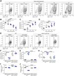 CD45 Antibody in Flow Cytometry (Flow)