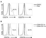 CD279 (PD-1) Antibody in Flow Cytometry (Flow)