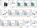 CD69 Antibody in Flow Cytometry (Flow)