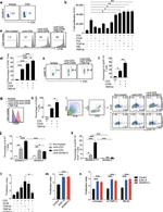 CD69 Antibody in Flow Cytometry (Flow)