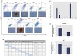 Ly-6A/E (Sca-1) Antibody in Flow Cytometry (Flow)