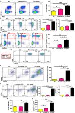 CD115 (c-fms) Antibody in Flow Cytometry (Flow)