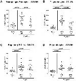 F4/80 Antibody in Immunohistochemistry (IHC)