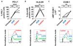 MHC Class II (I-A/I-E) Antibody in Flow Cytometry (Flow)