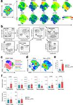 TCR gamma/delta Antibody in Flow Cytometry (Flow)