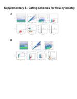 FOXP3 Antibody in Flow Cytometry (Flow)