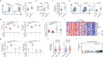 CD274 (PD-L1, B7-H1) Antibody in Flow Cytometry (Flow)