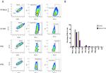 CD274 (PD-L1, B7-H1) Antibody in Flow Cytometry (Flow)