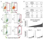 CD274 (PD-L1, B7-H1) Antibody in Flow Cytometry (Flow)