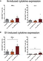 IL-4 Antibody in Flow Cytometry (Flow)