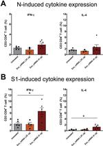 IFN gamma Antibody in Flow Cytometry (Flow)