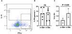 IFN gamma Antibody in Flow Cytometry (Flow)