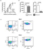 IFN gamma Antibody in Flow Cytometry (Flow)