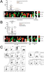 IFN gamma Antibody in Flow Cytometry (Flow)