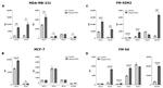 HLA-DR Antibody in Flow Cytometry (Flow)