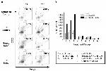 CD4 Antibody in Flow Cytometry (Flow)