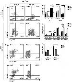 CD140a (PDGFRA) Antibody in Flow Cytometry (Flow)