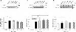 RIG-I Antibody in Western Blot (WB)