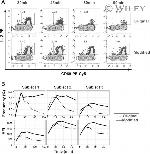 CD4 Antibody in Flow Cytometry (Flow)