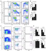 Ly-6A/E (Sca-1) Antibody in Flow Cytometry (Flow)