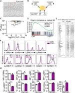 CD27 Antibody in Flow Cytometry (Flow)