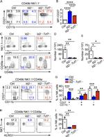 NK1.1 Antibody in Flow Cytometry (Flow)