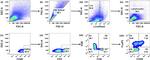 CD4 Antibody in Flow Cytometry (Flow)