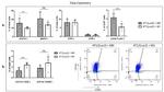 CD4 Antibody in Flow Cytometry (Flow)