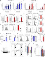 CD69 Antibody in Flow Cytometry (Flow)