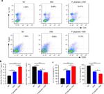 CD4 Antibody in Flow Cytometry (Flow)