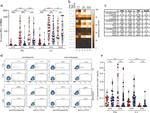 IL-2 Antibody in Flow Cytometry (Flow)