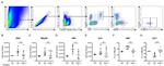 CD335 (NKp46) Antibody in Flow Cytometry (Flow)