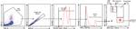 CD16 Antibody in Flow Cytometry (Flow)