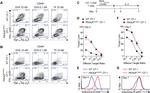 IFN gamma Antibody in Flow Cytometry (Flow)